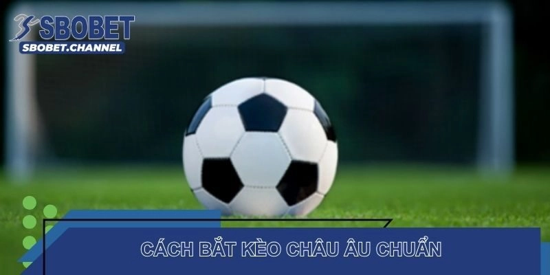 Kinh nghiệm soi kèo Châu Âu giúp bạn tiền về đầy túi