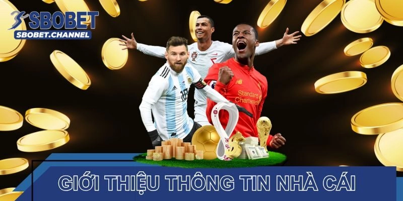 Giới thiệu thông tin thành lập của nhà cái