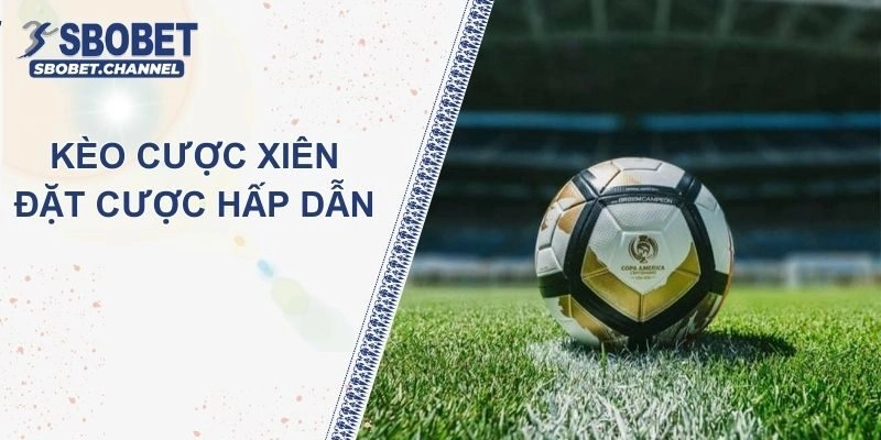 Kèo Cược Xiên Là Gì? Cách Tính Và Chiến Thuật Chơi Thắng Đậm